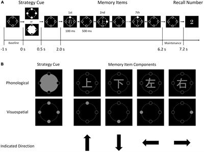 Differential working memory function between phonological and visuospatial strategies: a magnetoencephalography study using a same visual task